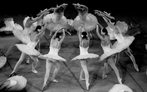Black Swan 3 Dancers on stage during the presentation of ‟Black Swan‟ performed by Ballet Nacional de Cuba at the Gran Teatro de La Habana in 2011.