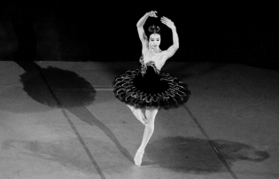 Black Swan 12 Viengsay Valdes performs during ‟ Black Swan‟ performed by Cuban National Ballet  at Gran Teatro de  Habana in 2011.